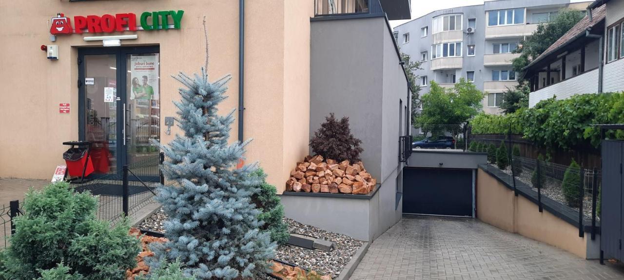 Apartment Baman Cluj-Napoca